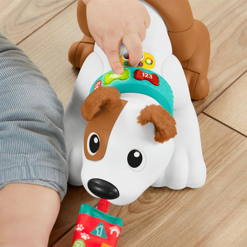 Afbeelding laden in galerijviewer, Fisher price crawl with me puppy + licht en geluid