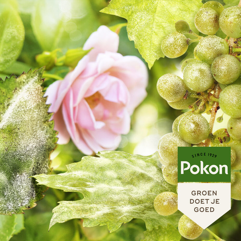 Afbeelding laden in galerijviewer, Pokon producten bio kuur voor weerbare en gezonde rozen spray 750ml