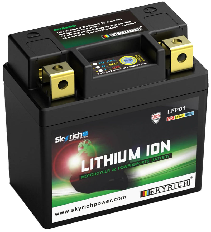 Afbeelding laden in galerijviewer, Skyrich lifepo4 batterij lfp01 battery lfp01-i lithium