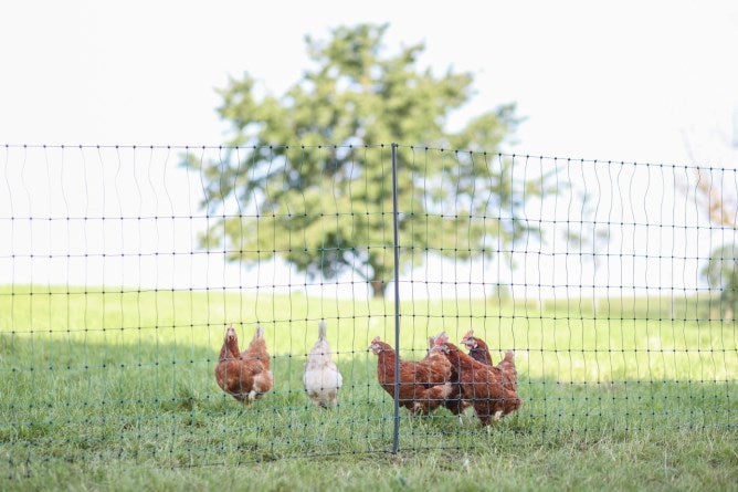 Afbeelding laden in galerijviewer, Ako producten poultrynet premium niet elektrificeerbaar 50m enkele pen