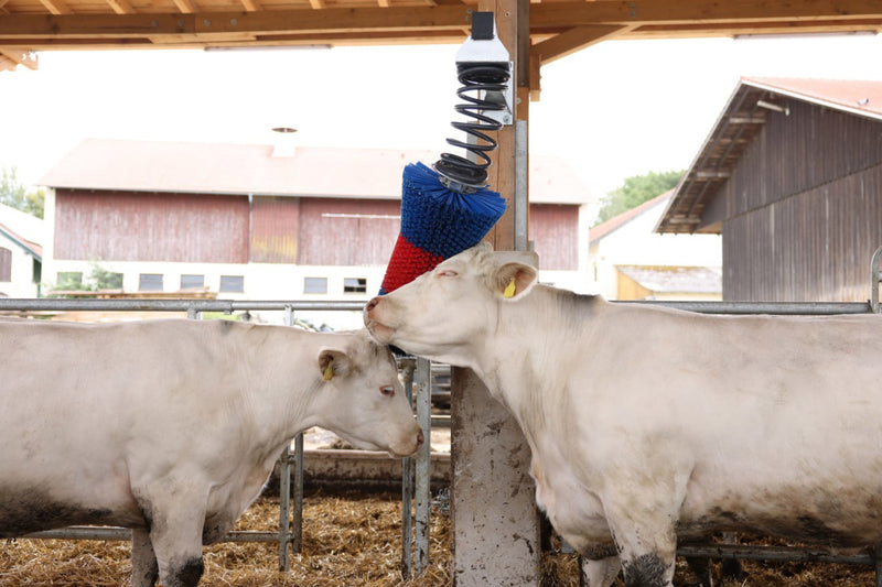 Afbeelding laden in galerijviewer, Producten happycow veeborstel flexiswing