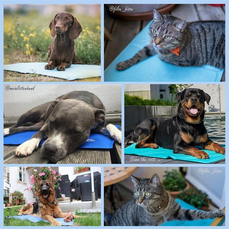 Afbeelding laden in galerijviewer, Nosli nosli zelfkoelende koelmat voor honden en katten 50x90 cm zeeblauw