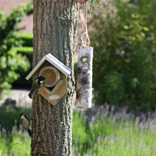 Afbeelding laden in galerijviewer, Esschert design vogelvoer pindakaas voor tuinvogels in glazen pot 340gr