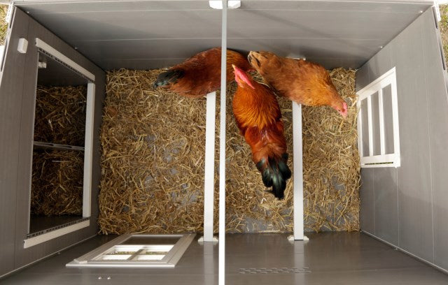Afbeelding laden in galerijviewer, Producten kippenhok eco stal kunststof barney