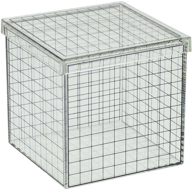Afbeelding laden in galerijviewer, Albatros hengelsport transparante 3d rasterkubus - 10x10x10 cm