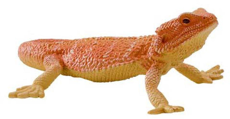 Afbeelding laden in galerijviewer, Mojo wildlife baardagaam - 381096