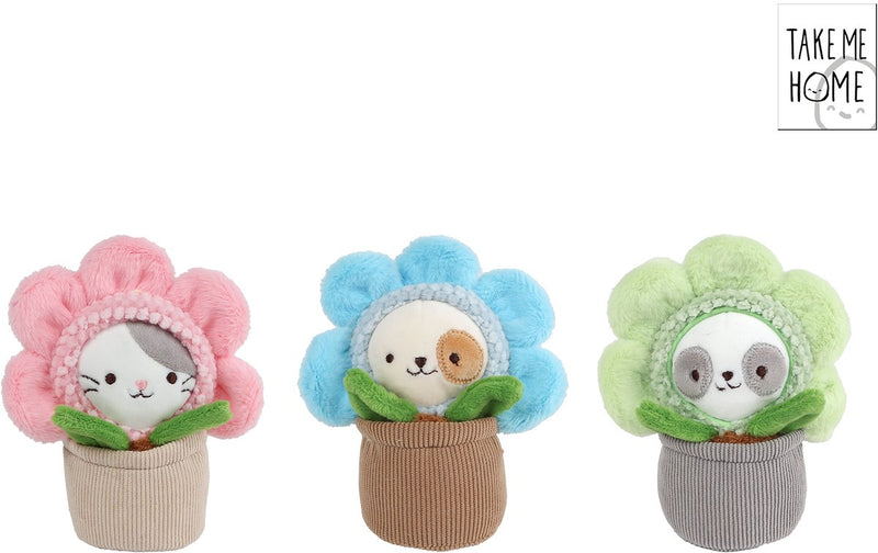 Afbeelding laden in galerijviewer, Take me home pluche kat knuffel in pot 16cm - schattig speelgoed.