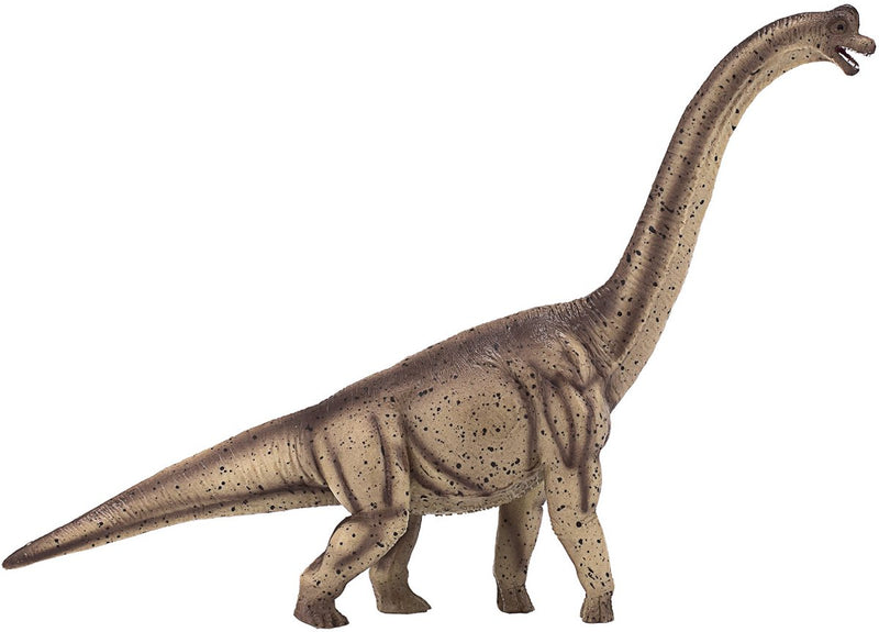 Afbeelding laden in galerijviewer, Mojo prehistorie deluxe brachiosaurus - 387381