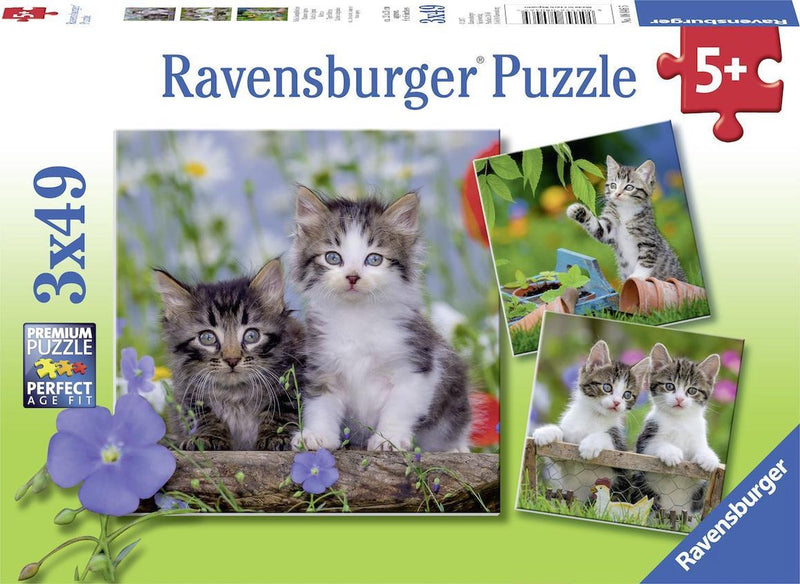 Afbeelding laden in galerijviewer, Ravensburger puzzel katten - 3x49 stukjes - kinderpuzzel