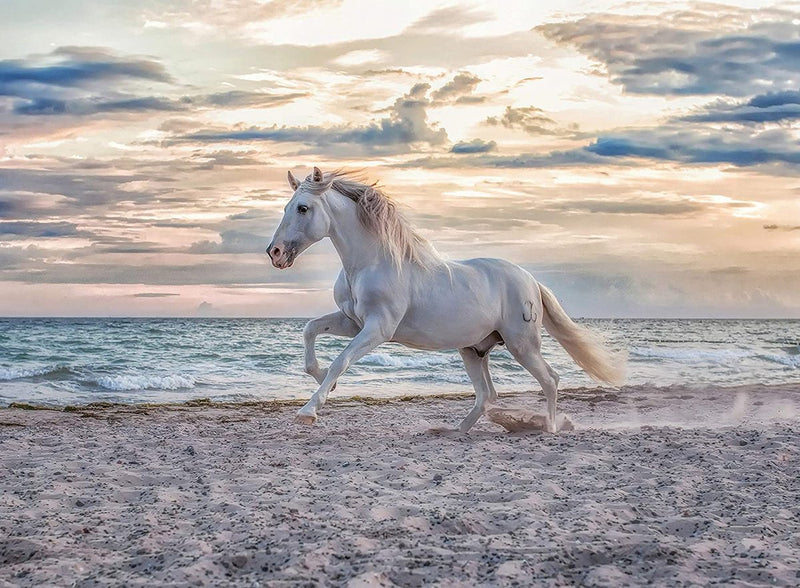 Afbeelding laden in galerijviewer, Ravensburger puzzel paard strand - 500 stukjes legpuzzel dieren.