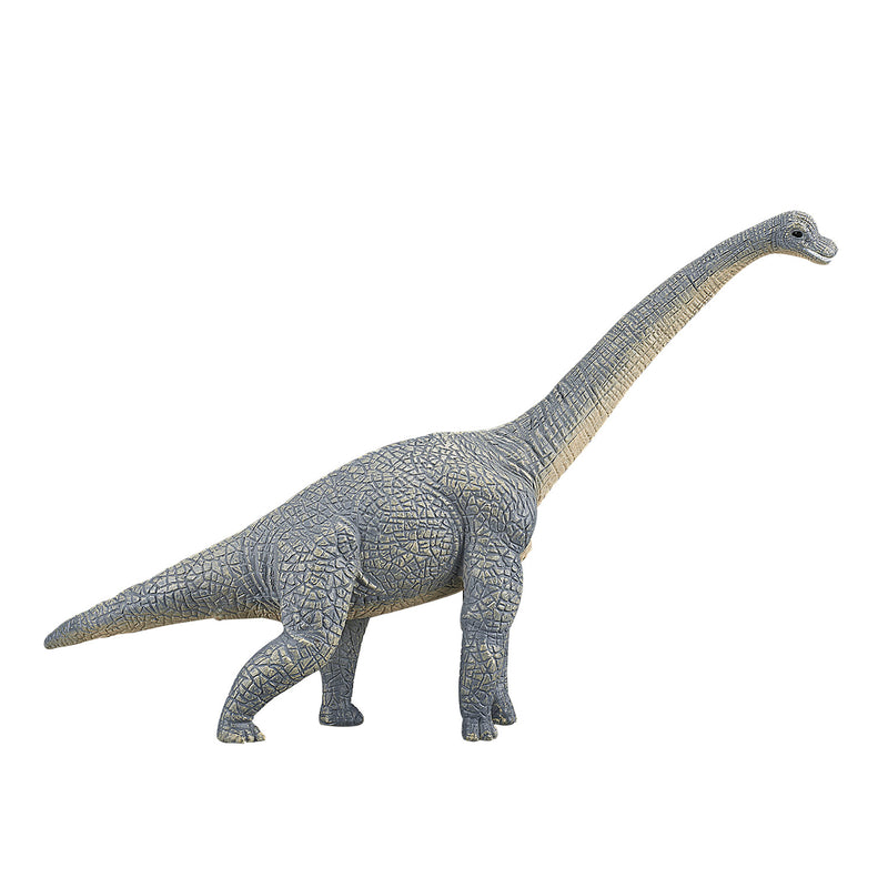 Afbeelding laden in galerijviewer, Mojo prehistorie brachiosaurus - 387044