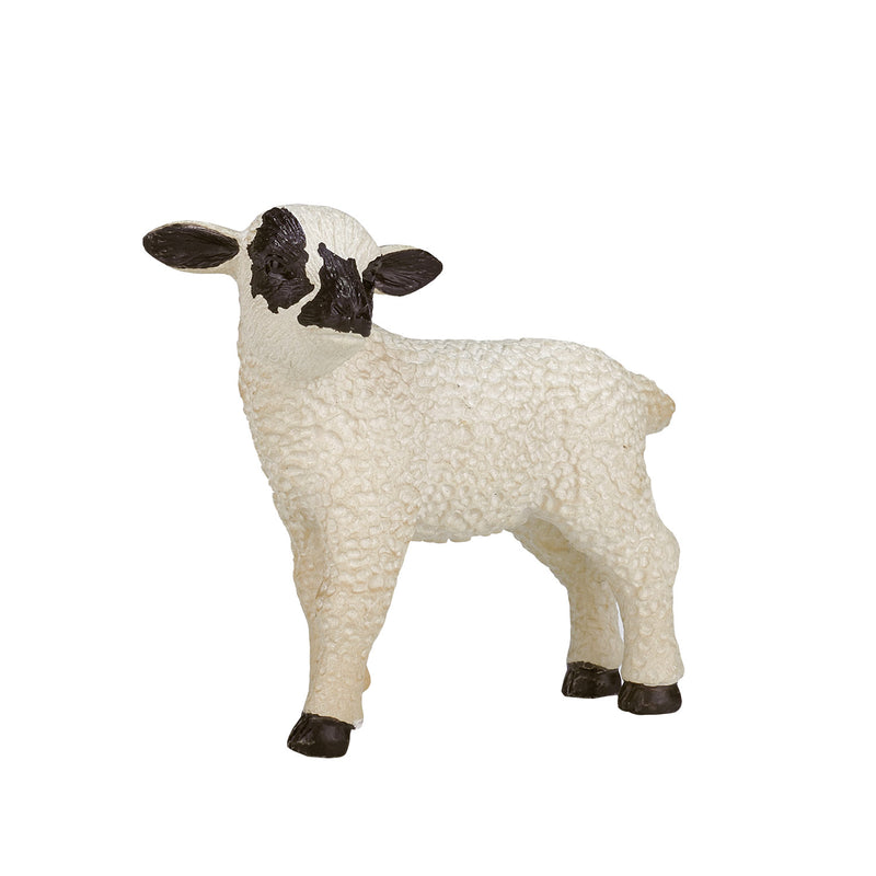 Afbeelding laden in galerijviewer, Mojo farmland zwartkopschaap lam - 387059