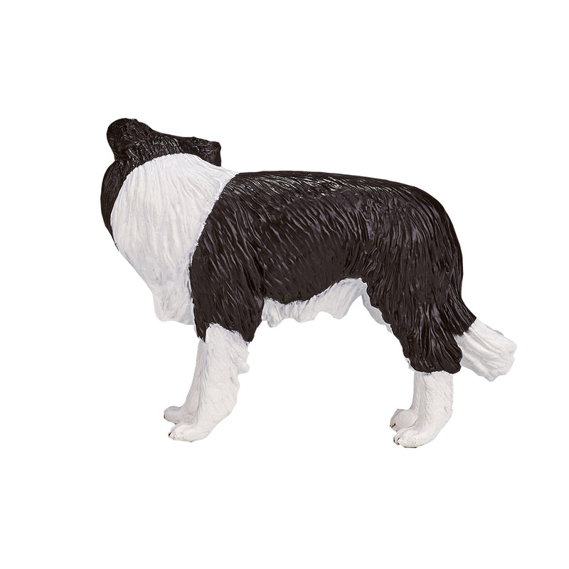 Afbeelding laden in galerijviewer, Mojo farmland border collie - 387203