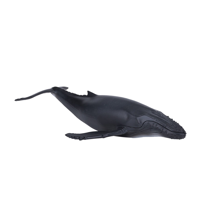 Afbeelding laden in galerijviewer, Mojo sealife bultrug - 387119
