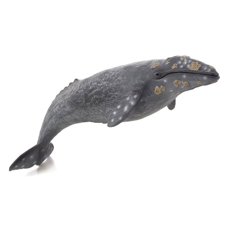 Afbeelding laden in galerijviewer, Mojo sealife - grijze walvis 387280