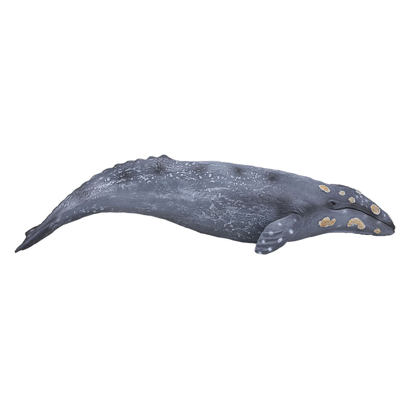 Afbeelding laden in galerijviewer, Mojo sealife - grijze walvis 387280