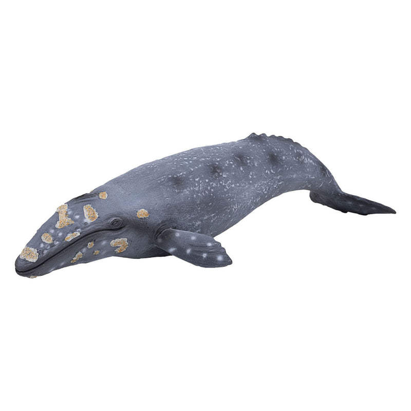 Afbeelding laden in galerijviewer, Mojo sealife - grijze walvis 387280