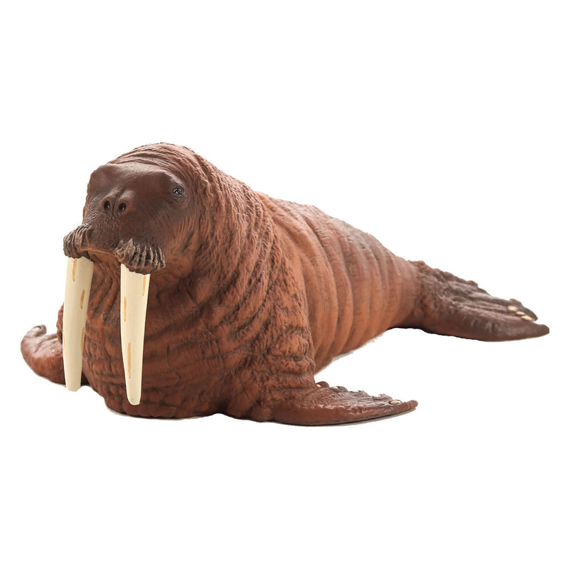 Afbeelding laden in galerijviewer, Mojo sealife walrus 387209