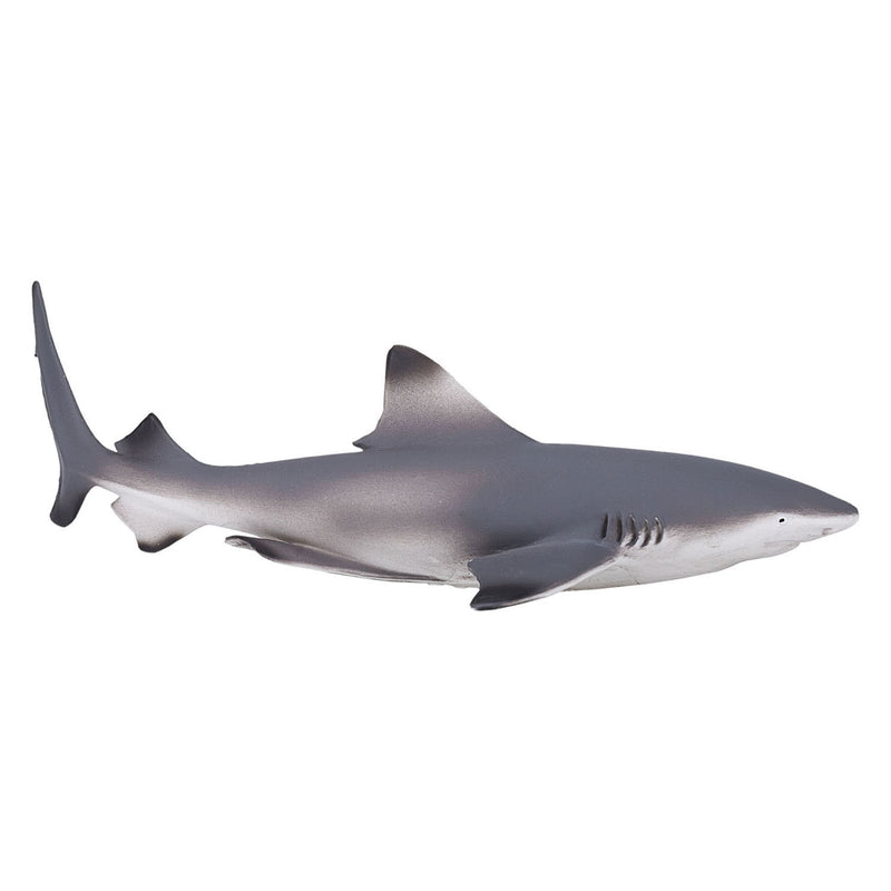 Afbeelding laden in galerijviewer, Mojo sealife zwartpuntrifhaai 387357