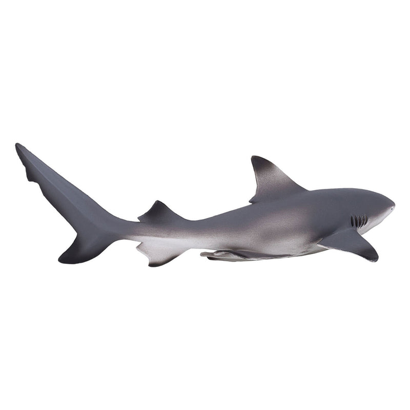 Afbeelding laden in galerijviewer, Mojo sealife zwartpuntrifhaai 387357