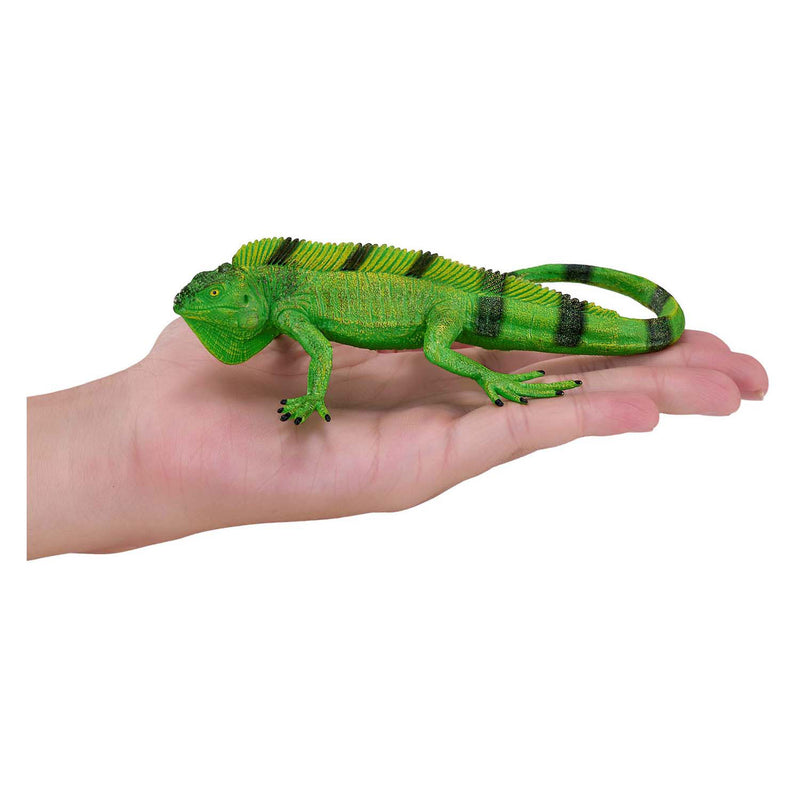 Afbeelding laden in galerijviewer, Mojo wildlife leguaan - 381095