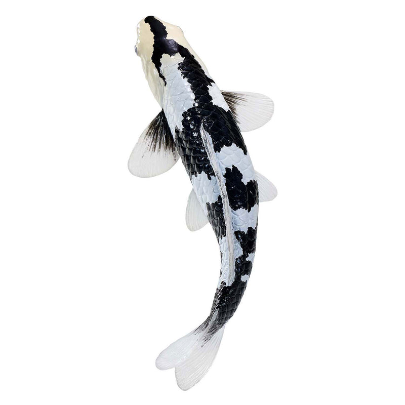 Afbeelding laden in galerijviewer, Mojo sealife koi karper - shiro utsuri koi - 381102