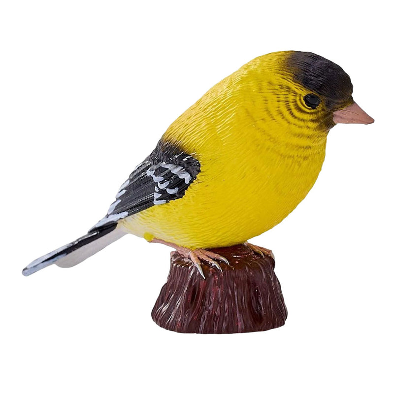 Afbeelding laden in galerijviewer, Mojo garden birds amerikaanse distelvink 381125