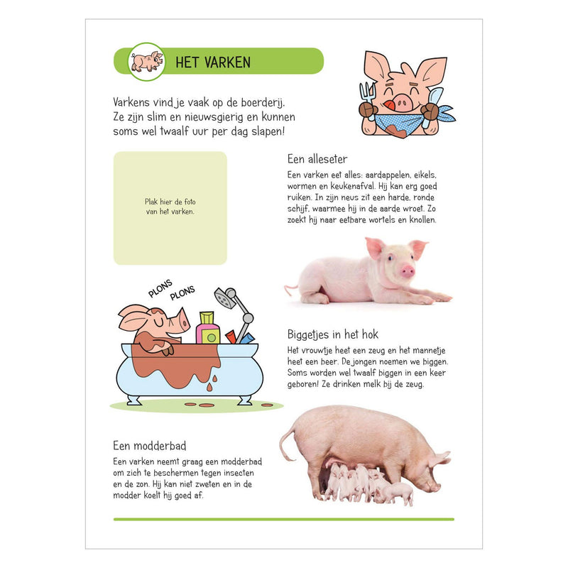 Afbeelding laden in galerijviewer, Stickerboek - Dieren op de boerderij