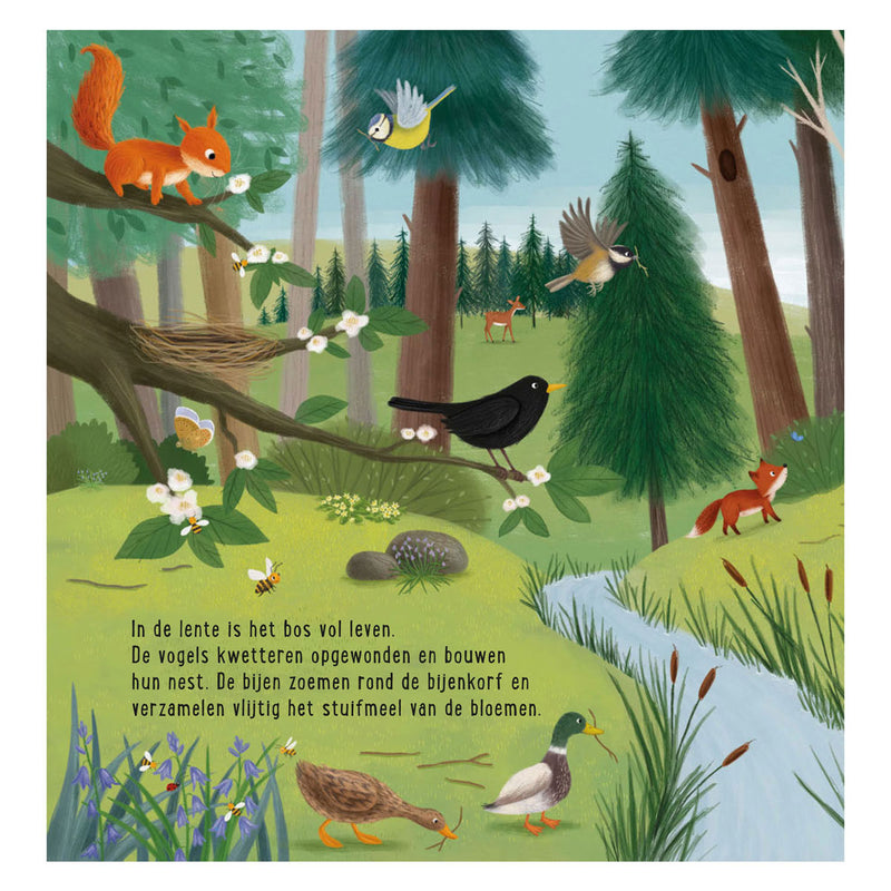 Afbeelding laden in galerijviewer, Deltas mijn eerste zoekboek - dieren in het bos