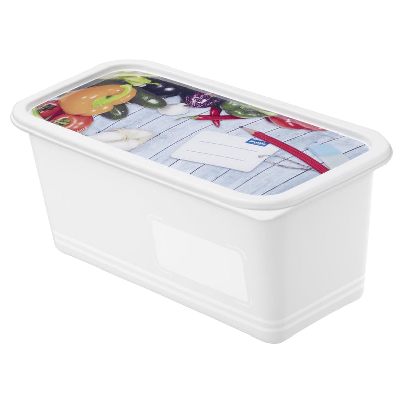 Afbeelding laden in galerijviewer, Rotho domino diepvriesdozenset 3-delig 1,5l etiket decor beschrijfbaar