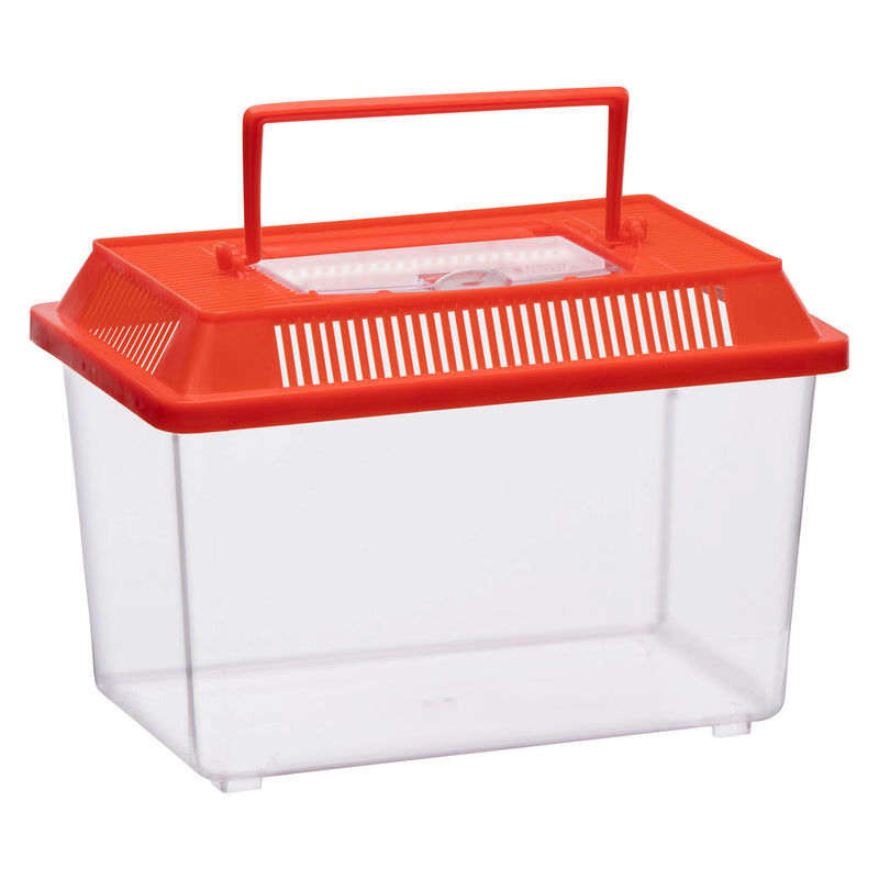 Afbeelding laden in galerijviewer, Merkloos sans marque insectenbox met deksel - transparante kunststof insectenbak 1,8 liter.
