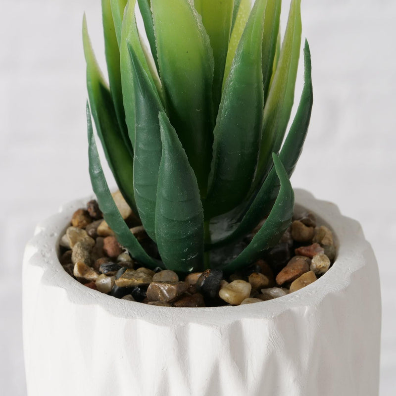 Afbeelding laden in galerijviewer, Boltze home kunstplant vetplant in stenen pot wit h15cm b7cm
