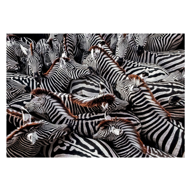 Afbeelding laden in galerijviewer, Clementoni Legpuzzel National Geographics - Zebra, 1000st.