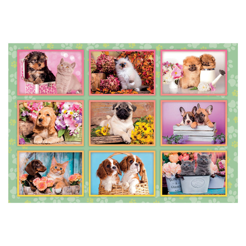 Afbeelding laden in galerijviewer, Clementoni legpuzzel super color puppies collage, 180st.