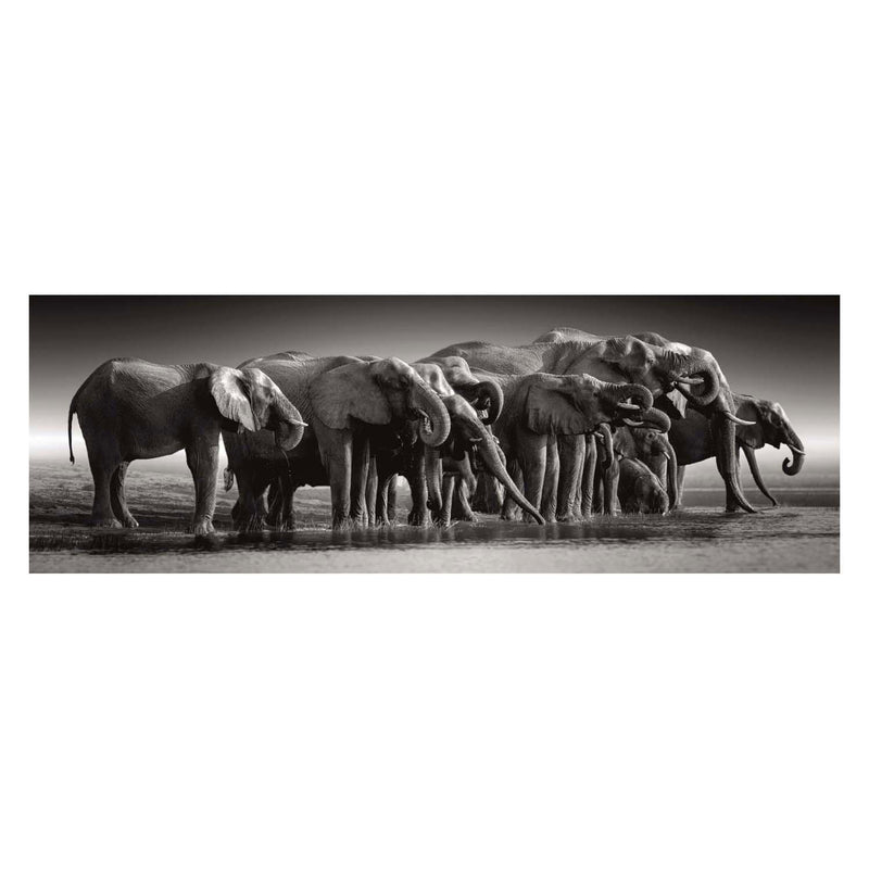 Afbeelding laden in galerijviewer, Clementoni legpuzzel herd of giants, 1000st.