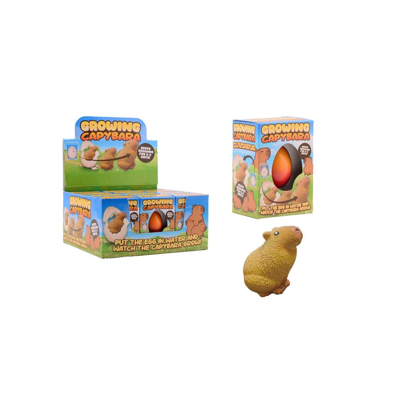Afbeelding laden in galerijviewer, Johntoy groeiende capybara ei in doos,4 assorti