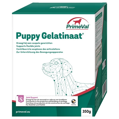 Afbeelding laden in galerijviewer, Primeval Gelatinaat hond