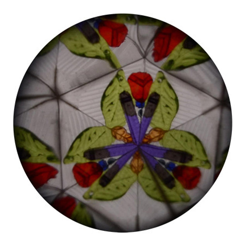 Afbeelding laden in galerijviewer, Johntoy Kaleidoscoop Zeedieren