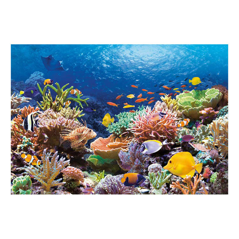 Afbeelding laden in galerijviewer, Castorland legpuzzel coral reef fishes, 1000st.