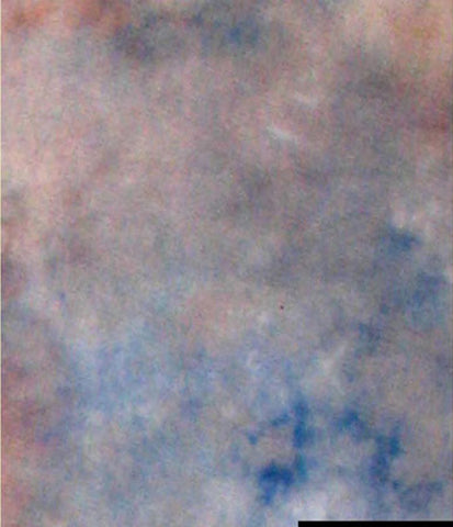 Afbeelding laden in galerijviewer, Falcon eyes achtergronddoek s122 2,9x7 m