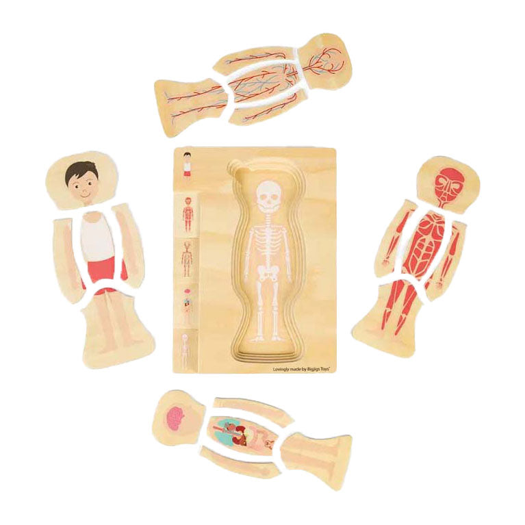 Afbeelding laden in galerijviewer, Bigjigs houten anatomiepuzzel - jongen, 26st.
