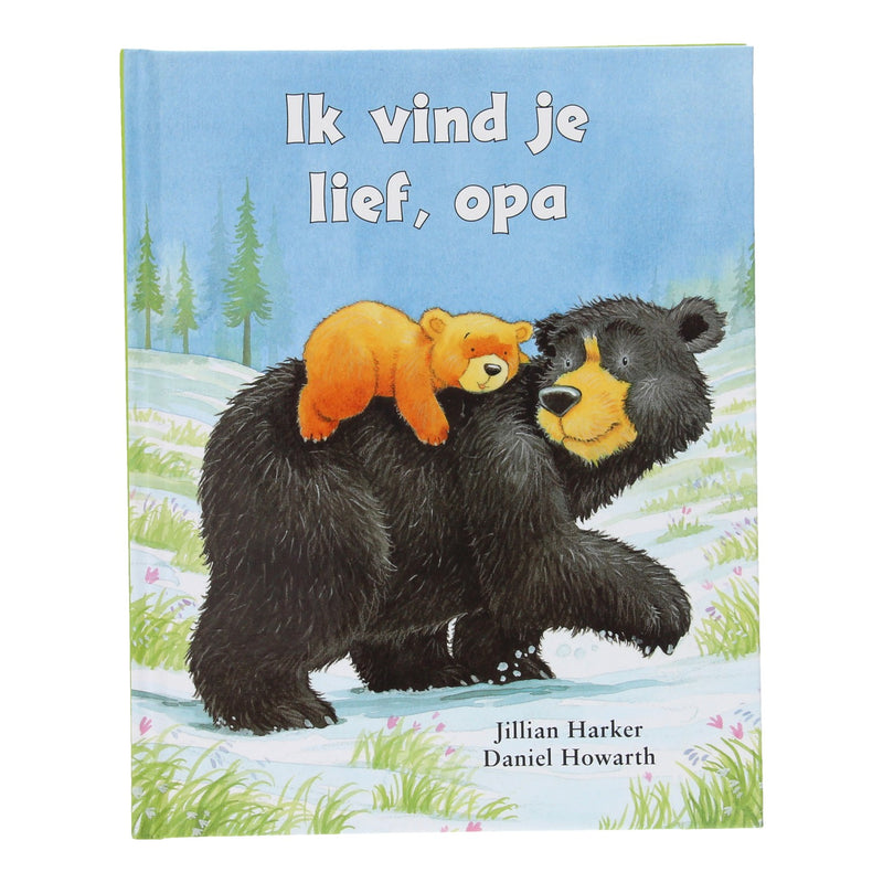 Afbeelding laden in galerijviewer, Rebo publishers ik vind je lief, opa