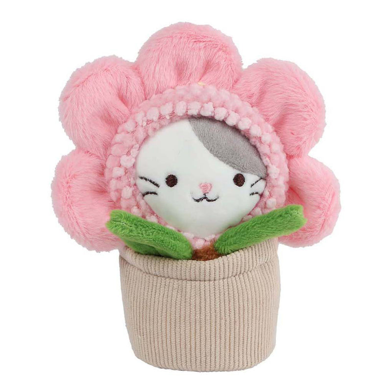 Afbeelding laden in galerijviewer, Take me home pluche kat knuffel in pot 16cm - schattig speelgoed.