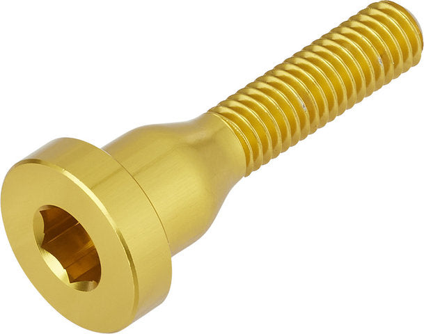 Afbeelding laden in galerijviewer, Burgtec bolt for top cap