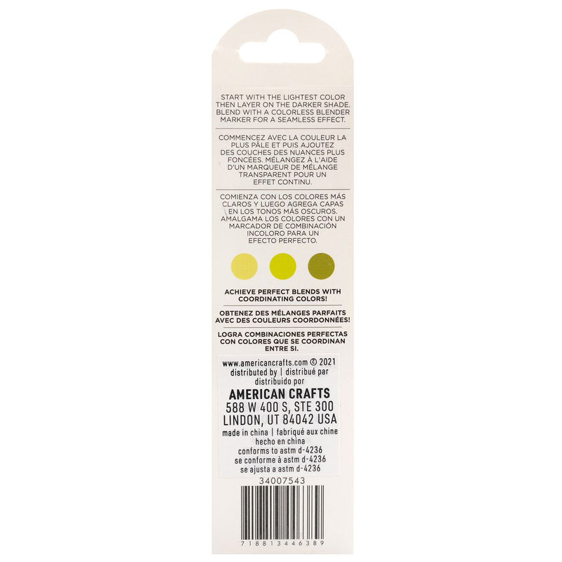 Afbeelding laden in galerijviewer, American crafts • sketch markers dual tip key lime