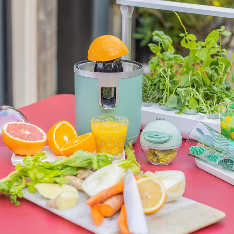 Afbeelding laden in galerijviewer, Livoo Livoo Citruspers elektrisch 70 W 400 ml groen