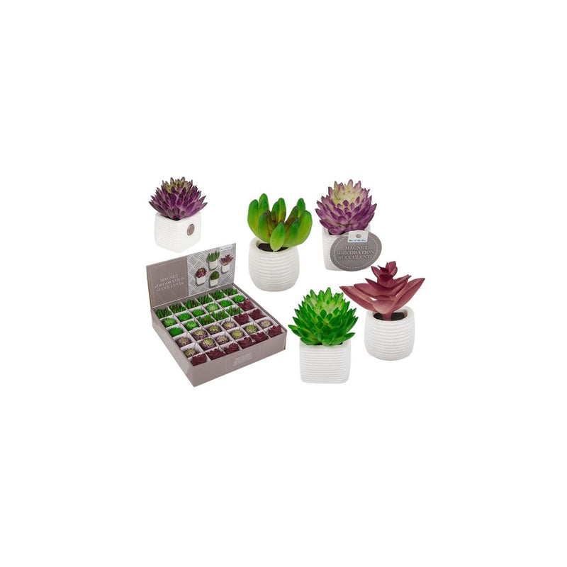 Afbeelding laden in galerijviewer, Ootb magneet vetplant in pot 3x5cm 4 assorti