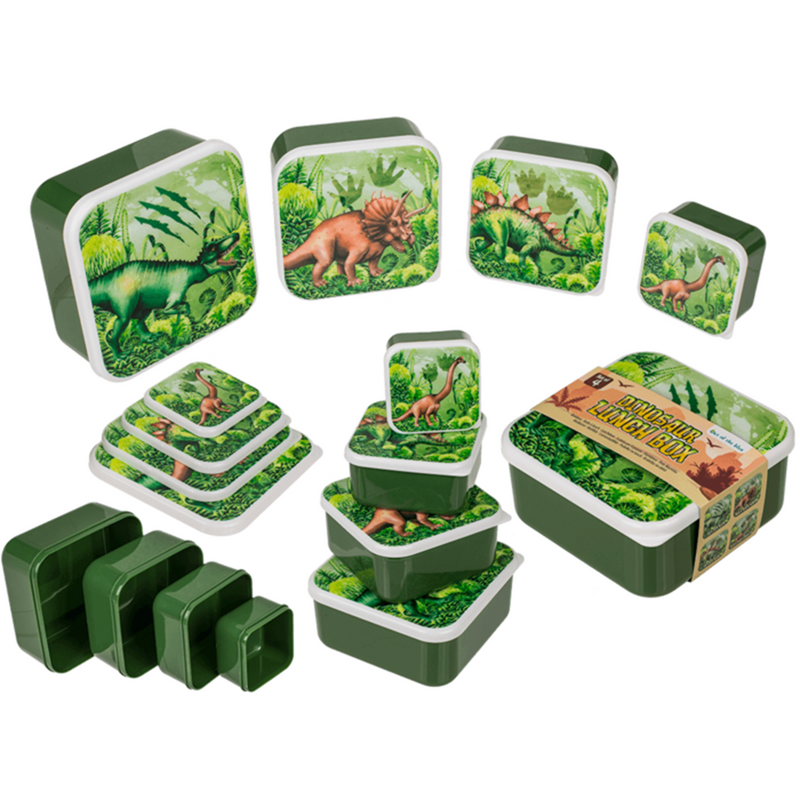 Afbeelding laden in galerijviewer, Lunchbox, dinosaurus, set van 4.