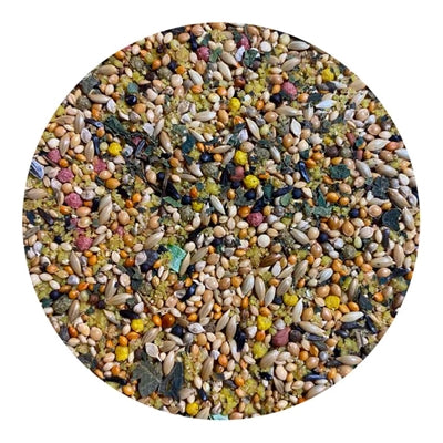 Afbeelding laden in galerijviewer, Utopia Tropische vogels top quality