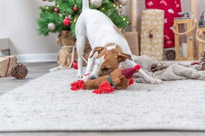 Afbeelding laden in galerijviewer, Trixie Xmas rendier pluche flostouw